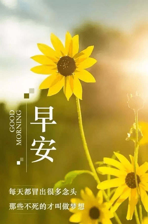 每天都会冒出许多念头，那些不死的才叫做梦想
