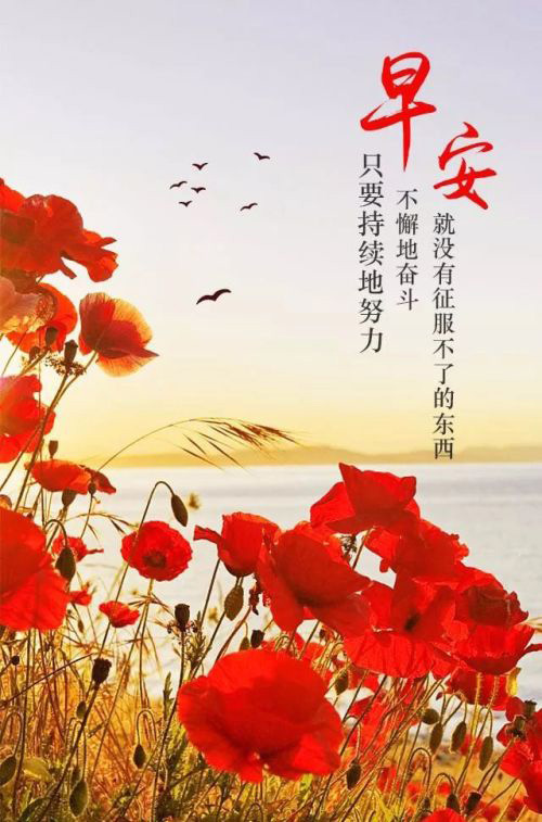 最新关于早安励志的图片