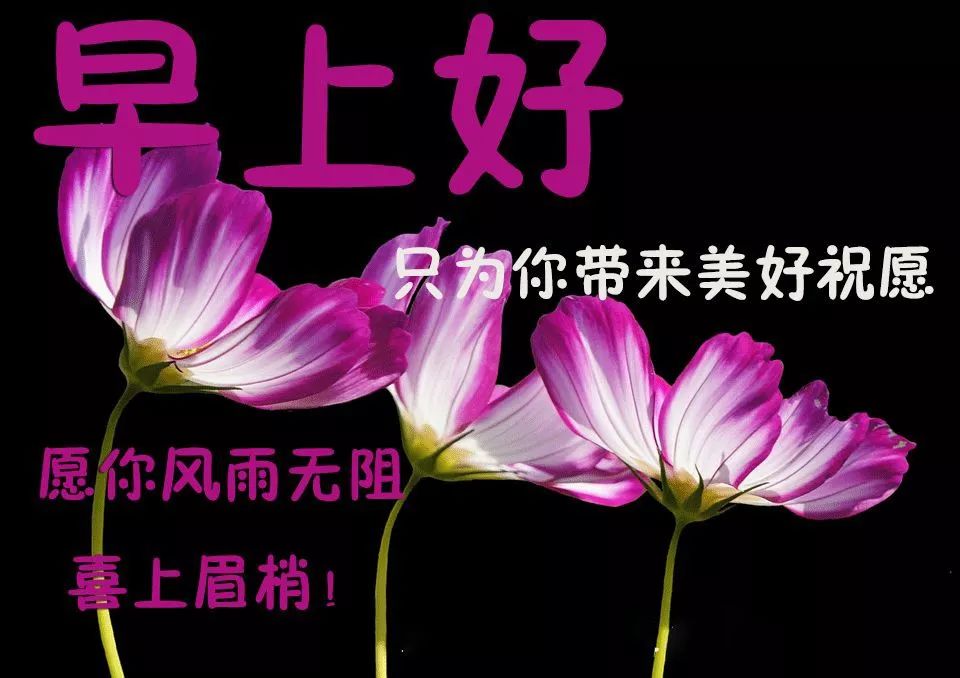 朋友早上好！愿你风雨无阻，喜上眉梢