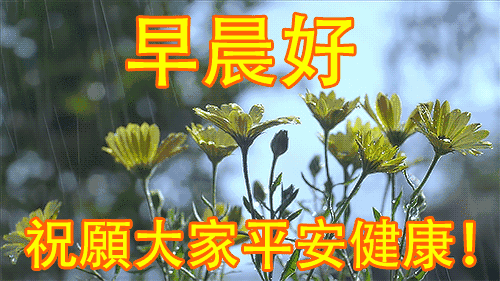 早晨好！祝愿大家平安健康