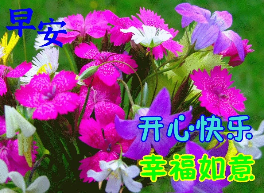 朋友早安！祝你开心快乐，幸福如意