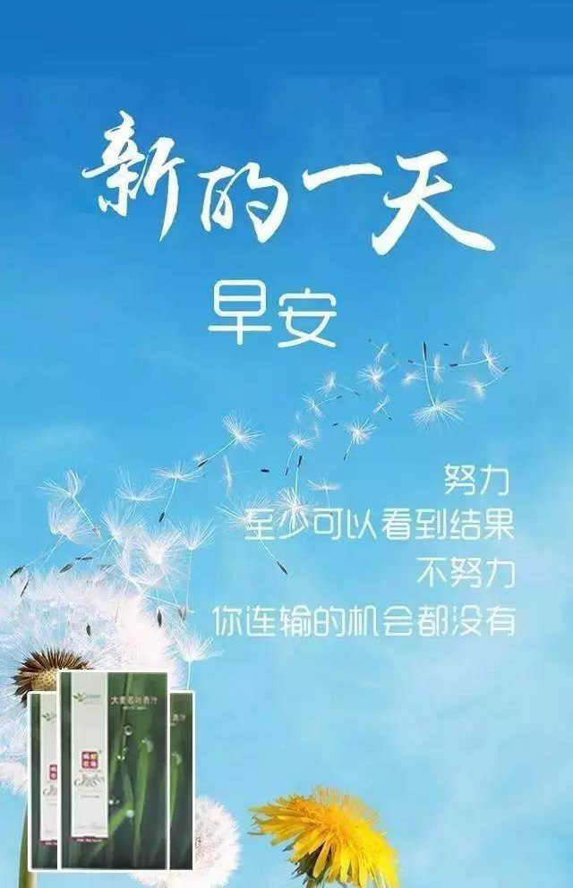 新的一天早安，只有努力才能看到结果