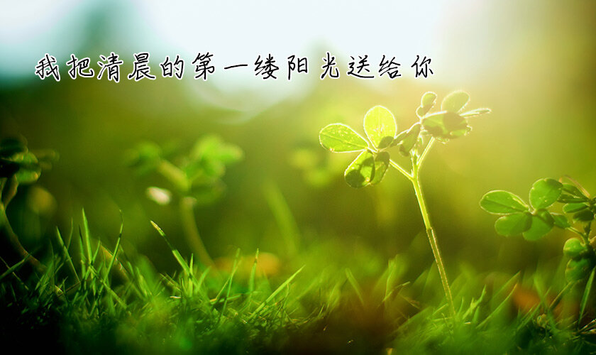 把清晨的第一缕阳光送给我的朋友
