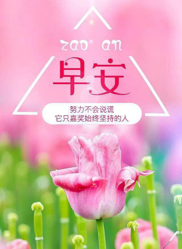 早安励志图片-努力不会说谎，它只会嘉奖坚持的人