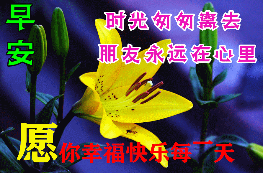 最新祝福朋友早安快乐的gif动态图片
