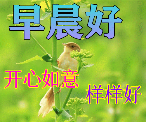 早晨好！祝福你吉祥如意
