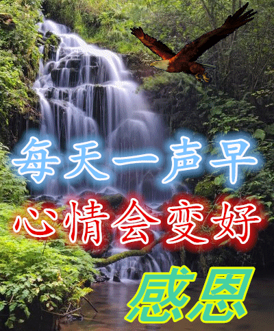 每天一声早上好，让心情也会跟着变好