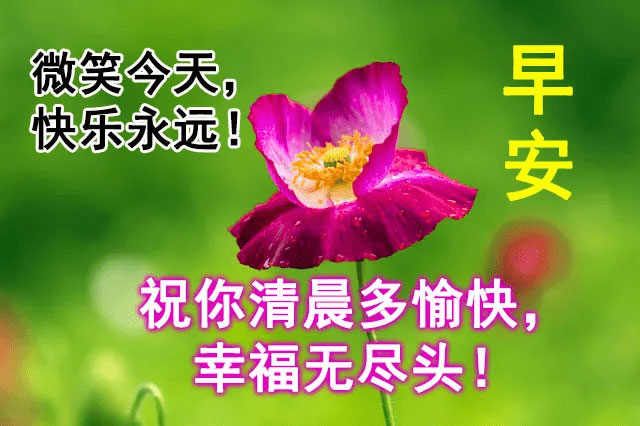 祝你清晨很愉快，幸福快乐没有尽头