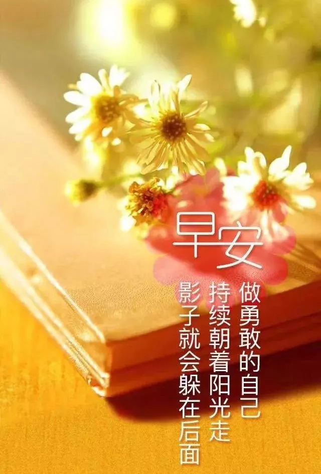 做勇敢的自己，坚持朝着阳光前行