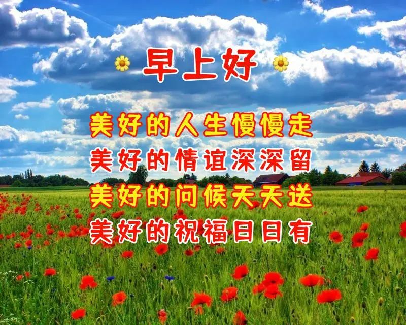 美好的问候天天送，美好的祝福日日有