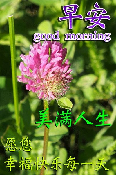 早安人生！愿你的生活幸福每一天