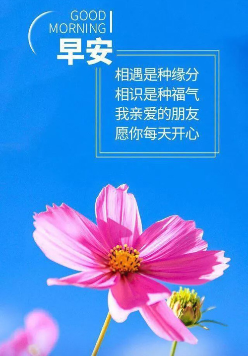 早安！我亲爱的朋友，愿你每天都开心