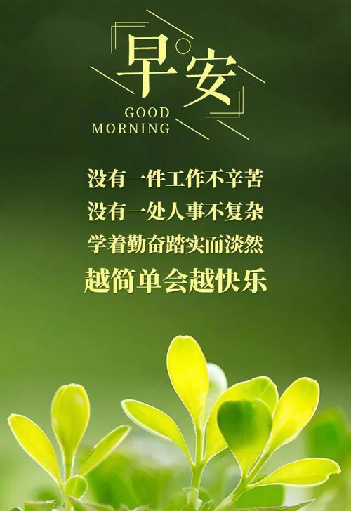 让人积极向上的早上好图片