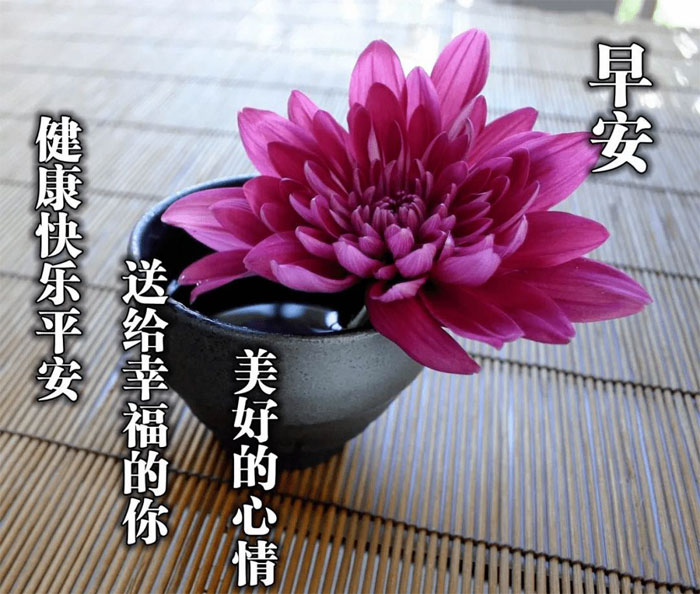早上好！我要把美好的心情送给幸福的你