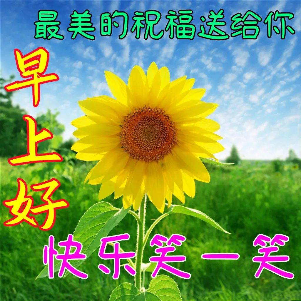 早上好！愿你快乐笑一笑