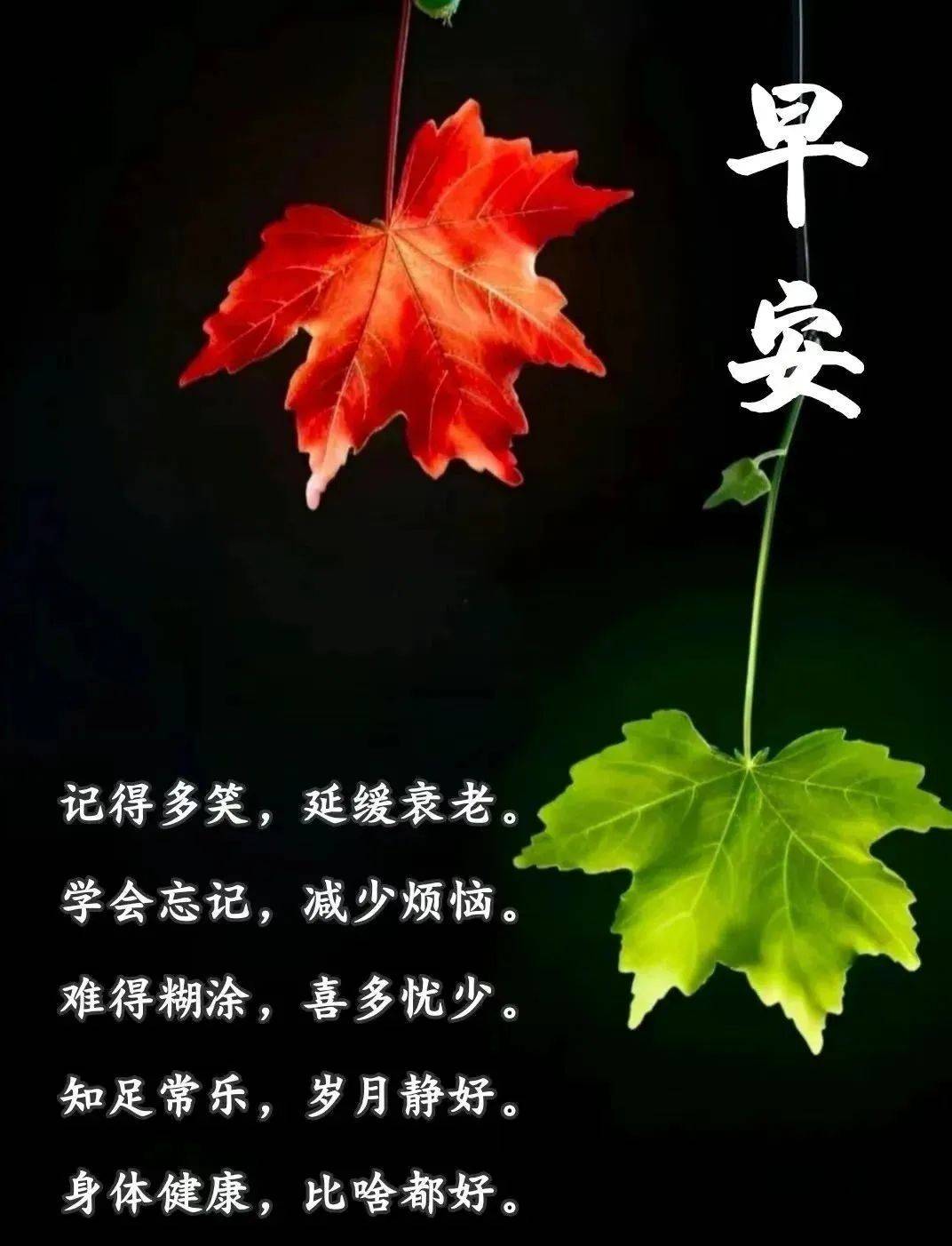关心安慰朋友的早安图片，知足常乐，岁月静好