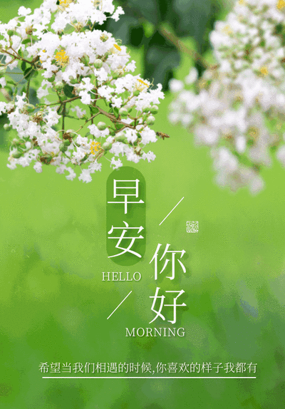 发给女朋友的早安问候图片