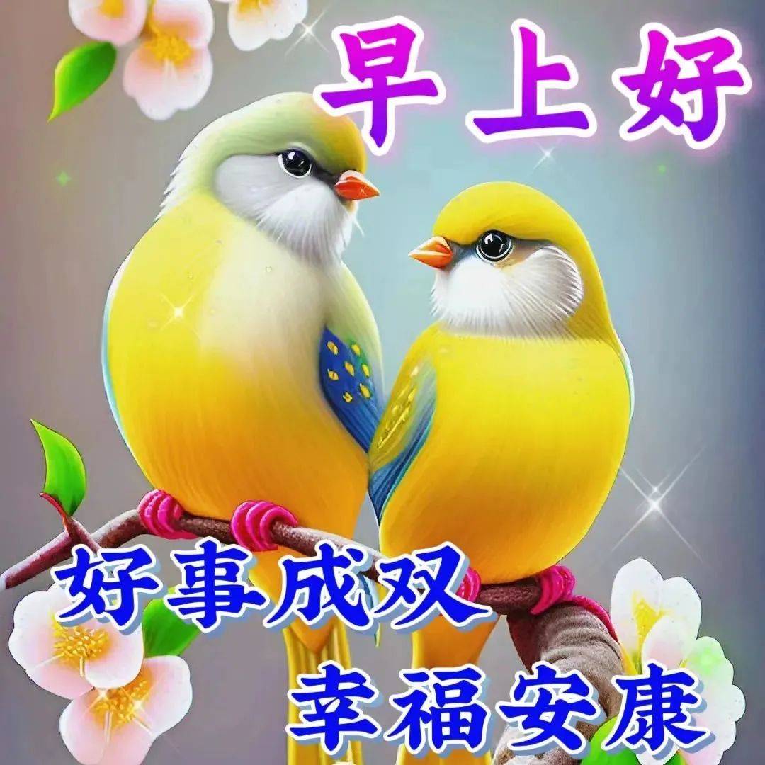 中老年人喜欢的早上好问候图片