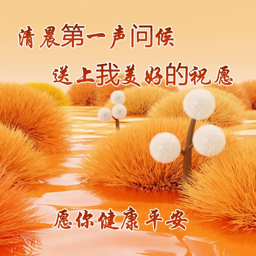 清晨的第一声问候是我送给你的祝福