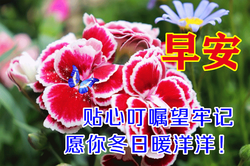 冬日早上好的问候朋友图片