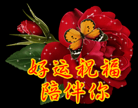 祝福你一生好运的动态图片