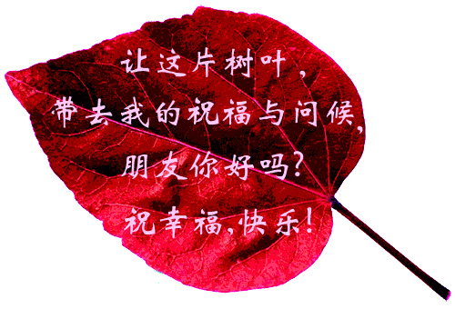 就让这片树叶带去我的祝福与问候