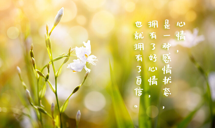 拥有了好心情，也就拥有了自信
