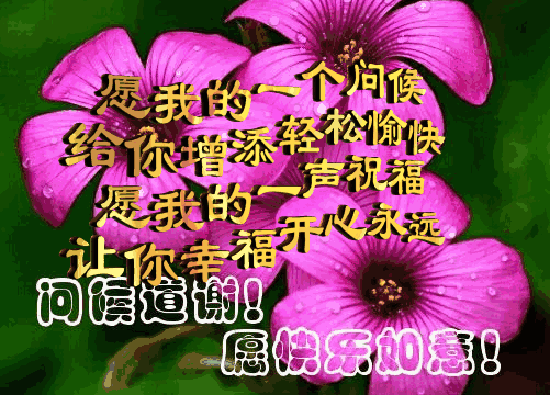 愿我的一声祝福，让你幸福开心到永远