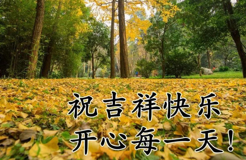 祝君吉祥如意，快乐开心每一天