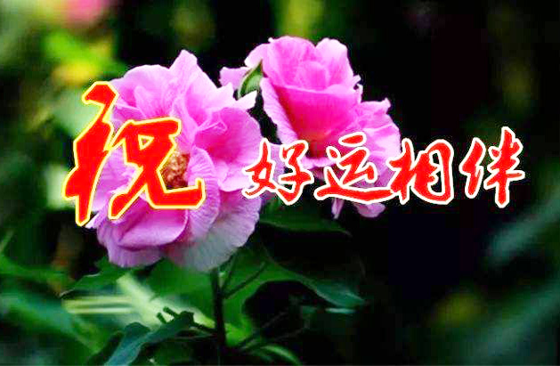 让美丽的鲜花祝你好运相伴