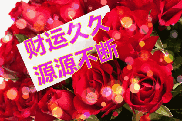 愿美丽的玫瑰花带给你财运久久