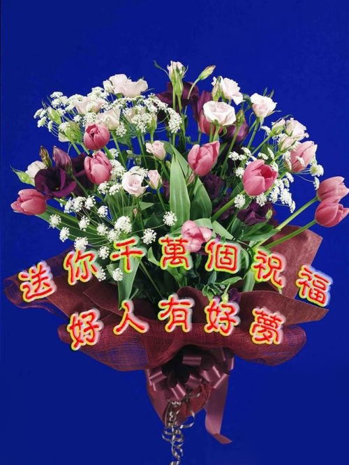 送你千万个祝福，愿好人有好梦