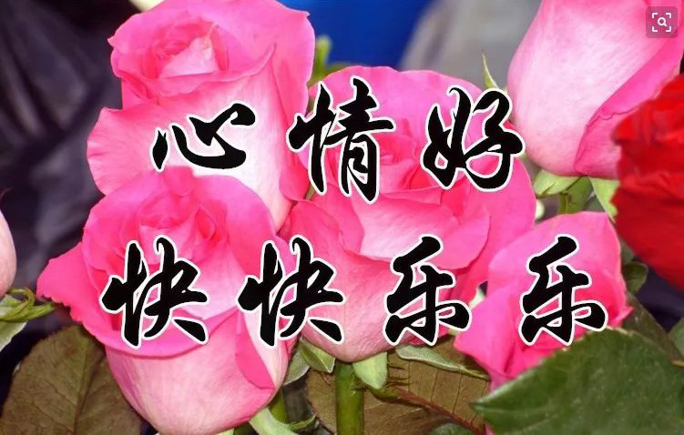 一定要心情好！快快乐乐过好每一天