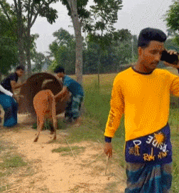 放牛时专心接电话，想不到牛被偷了