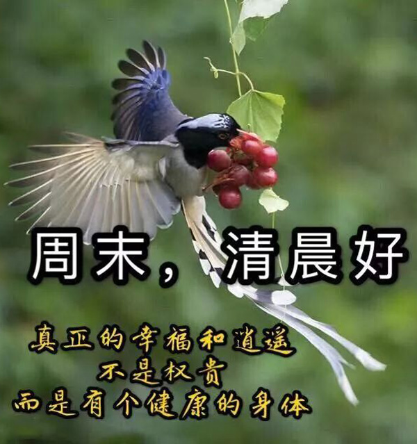 周末到了，向你问个好