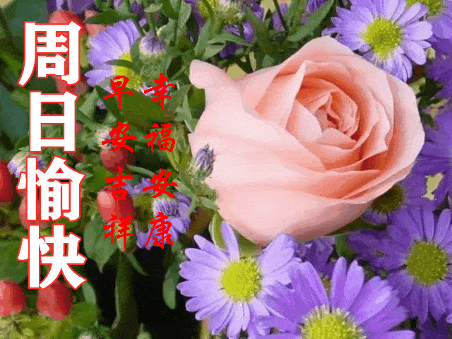 早安吉祥，祝你周日愉快