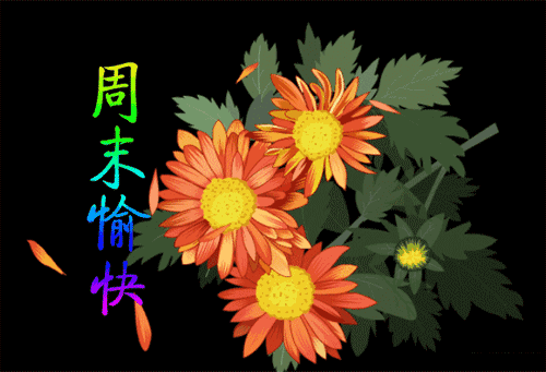 轻轻的一声问候，周日快乐