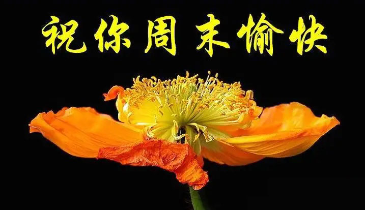我要祝你周末愉快