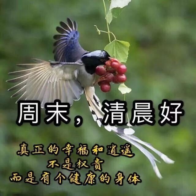 周末好！清晨好