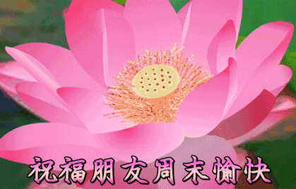 祝福朋友周末愉快