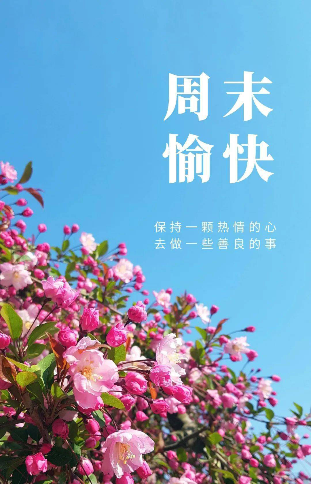 保持一颗热情的心，去做一些善良的事