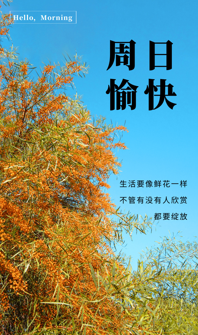 生活要像鲜花一样，愿你周末愉快