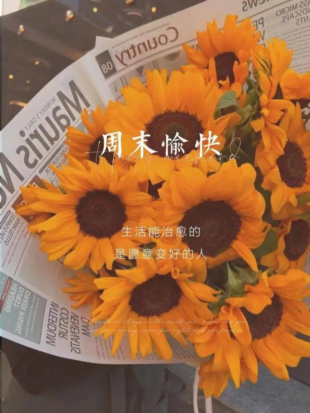 周末暖心配图-生活能治愈的是愿意变好的人