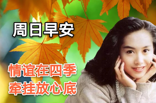 周日早安！情谊在四季，牵挂放心底