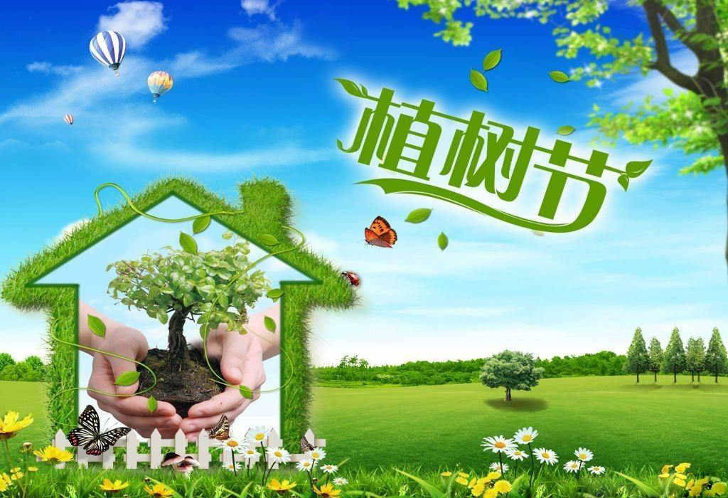 植树造林，绿化祖国
