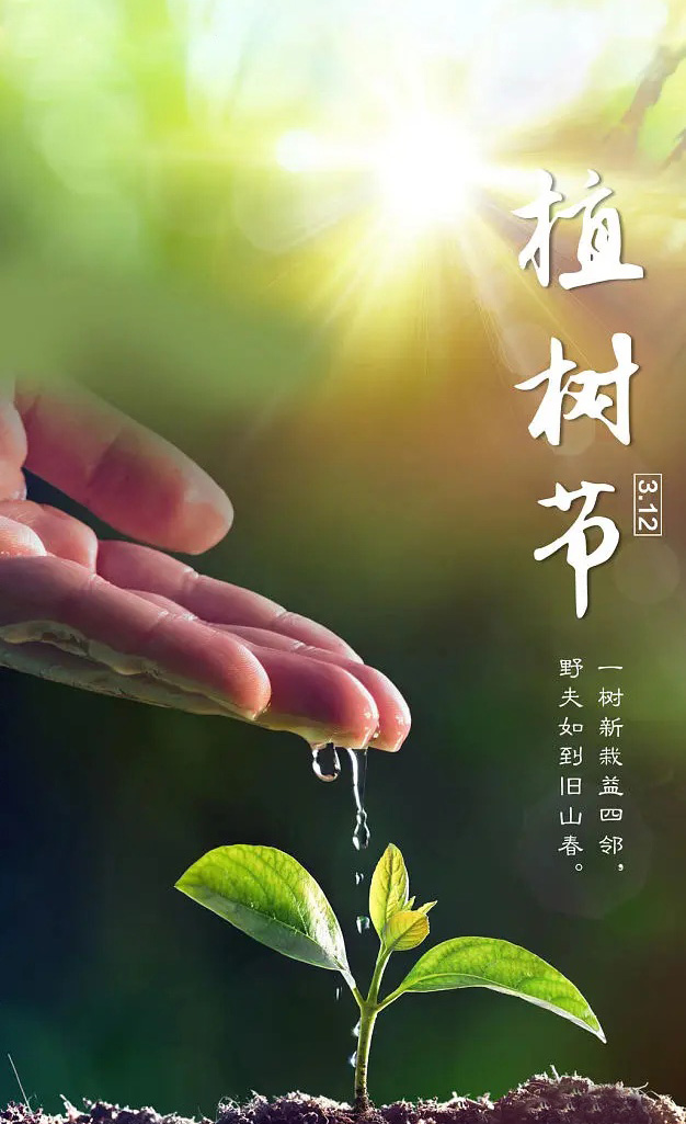 为小树苗浇水，愿你早日长大