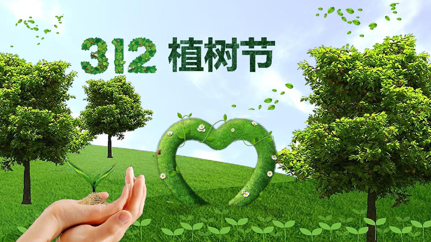 爱护植物，还世界一片绿色