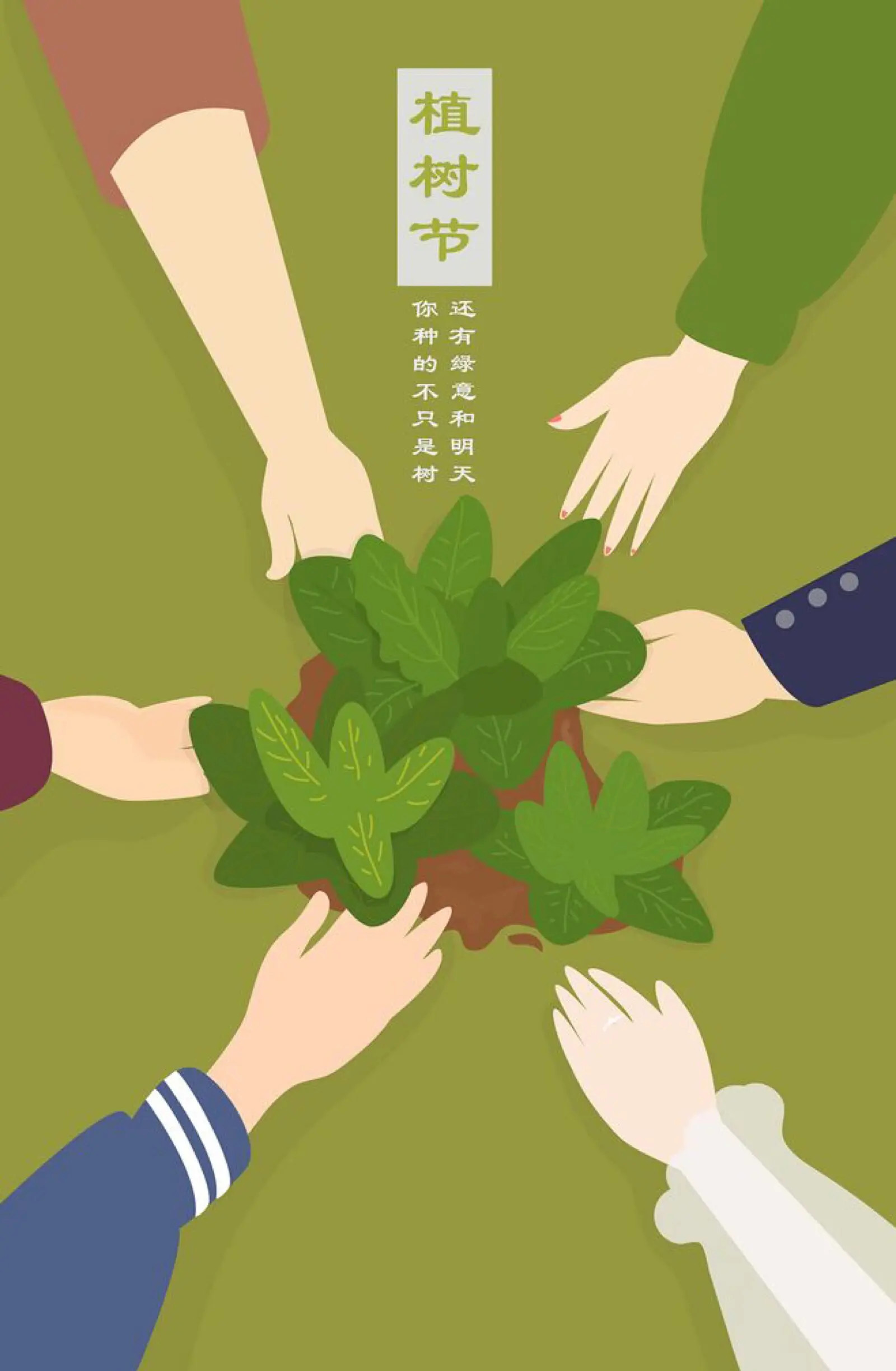 你种的不只是树，还有绿意和明天